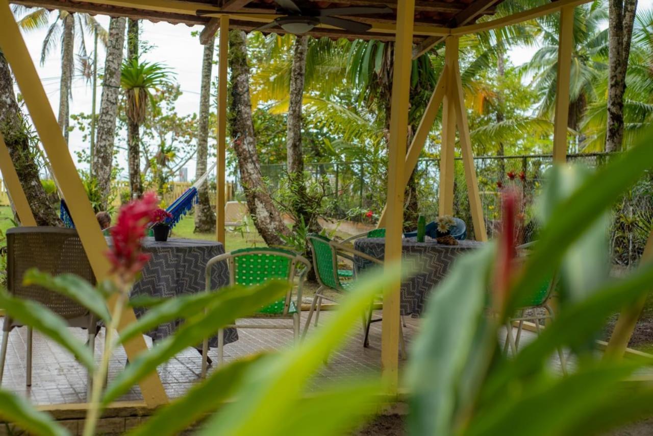 Hotel Tierra Verde Bed And Breakfast Bocas del Toro Eksteriør bilde