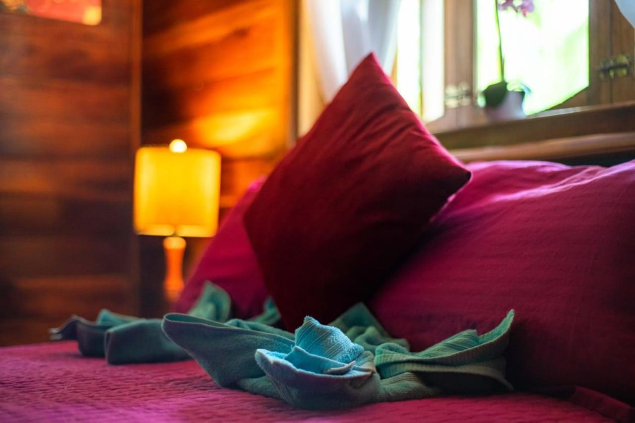 Hotel Tierra Verde Bed And Breakfast Bocas del Toro Eksteriør bilde