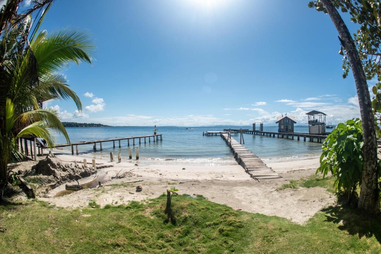Hotel Tierra Verde Bed And Breakfast Bocas del Toro Eksteriør bilde