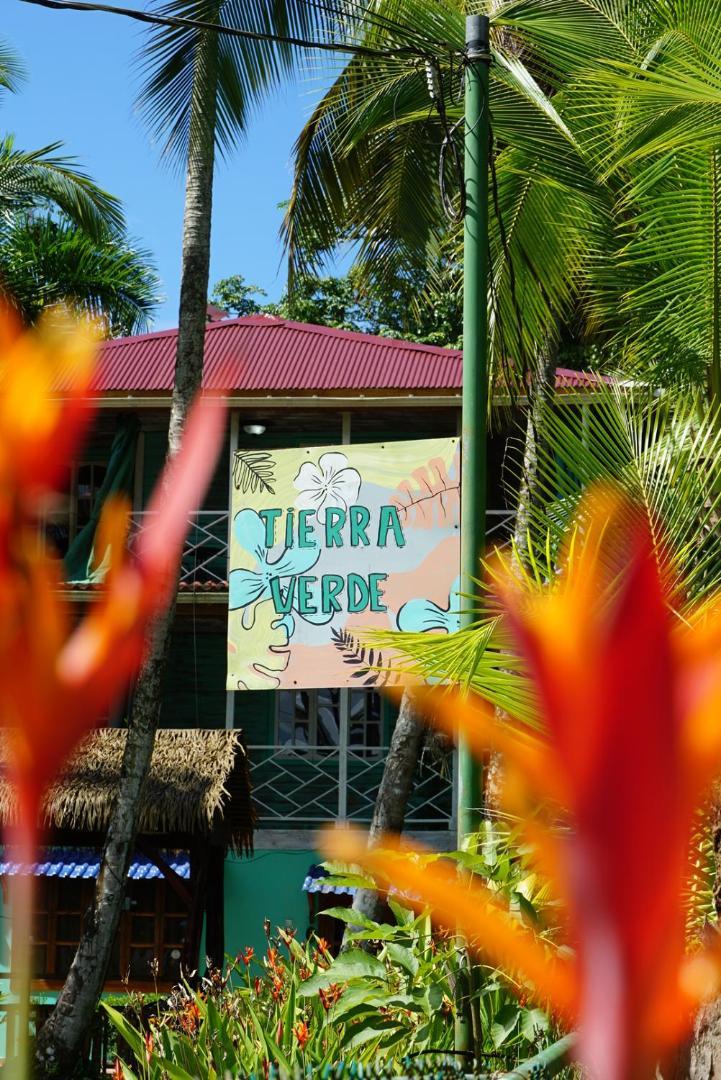 Hotel Tierra Verde Bed And Breakfast Bocas del Toro Eksteriør bilde